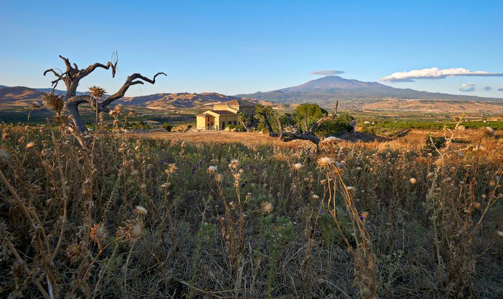Agriturismo Conte Ruggero Βίλα Centuripe Εξωτερικό φωτογραφία